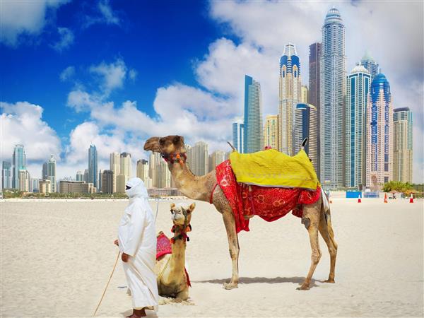 迪拜黄金和商品交易所7月份交易量同比增长357%